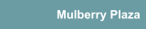 Mulberry Plaza