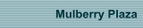 Mulberry Plaza